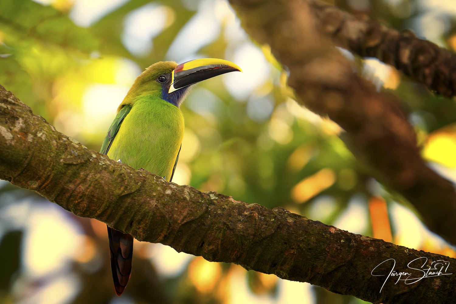 Traumreise Costa Rica